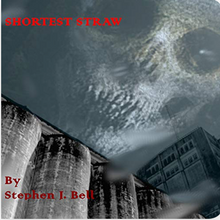 Load image into Gallery viewer, Shortest Straw