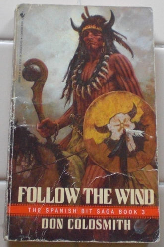 Follow the Wind (Spanish Bit Saga Book, No 3) cover image