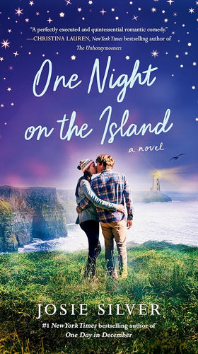 One Night on the Island: A Novel cover image