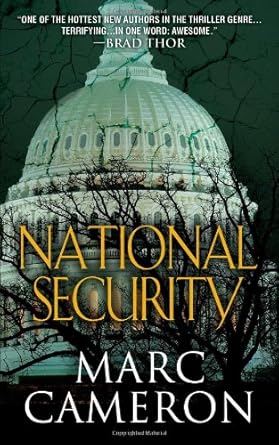 National Security (Jericho Quinn) cover image