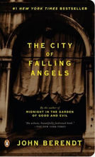 Load image into Gallery viewer, The City of Falling Angels
