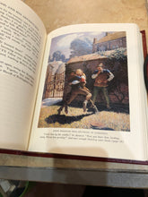 Load image into Gallery viewer, Robin Hood
