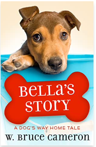 Bella's Story